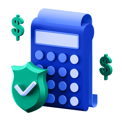 Buy Now, Pay Later (BNPL) Systems